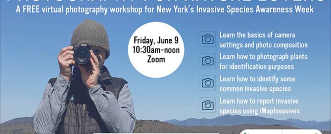 APIPP kicks off summer education series