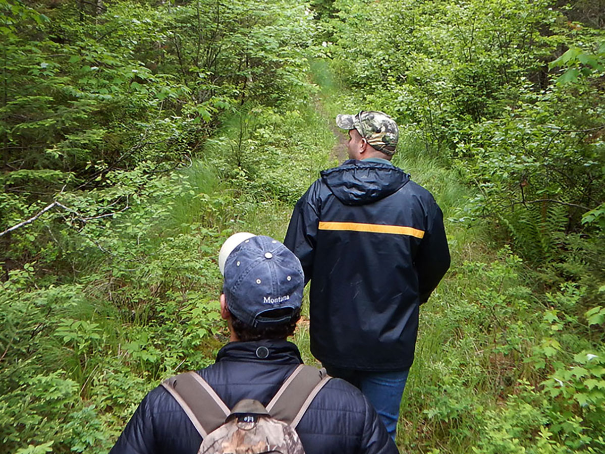 forest pest hunters